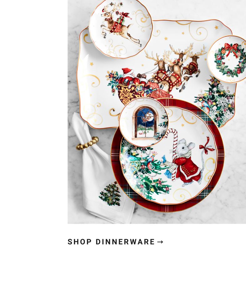Shop Dinnerware